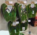 This convenience store in the Sonora desert offers artificial grass textured flip flops.