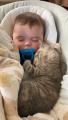 Kitten and Baby With a Pacifier Cuddling Together