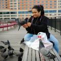 Woman feeding pigeons in Jersey City, New Jersey