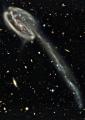 One of the strangest-looking galaxies out there, the Tadpole Galaxy from Hubble is a disrupted barred spiral galaxy located 420 million light-years from Earth in the northern constellation Draco. This galaxy is the largest disrupted spiral galaxy of its sort…