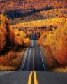 Elliott Highway north of Fairbanks through the autumn landscape of Alaska.