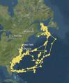 A shark accidentally drew a shark with its path which was tracked via GPS.