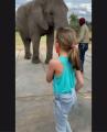 Elephant imitates the girl.