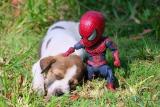 Spider-Man and a puppy