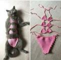 Cat lingerie