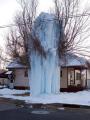 "Frozen Tree" in Park City, Utah